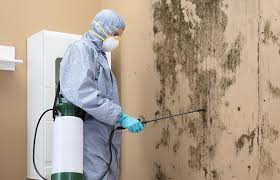 Best Asbestos and Lead Testing During Mold Inspection  in Uniondale, NY